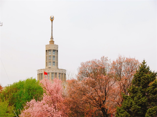 黑龙江中医药大学教务处网站信息临时占位测试信息